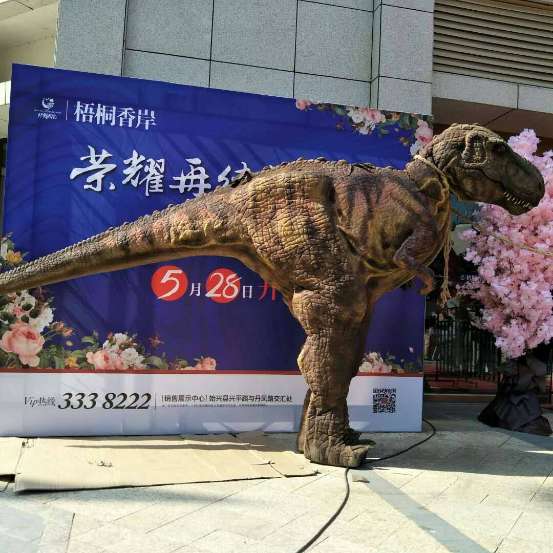 恐龙展示